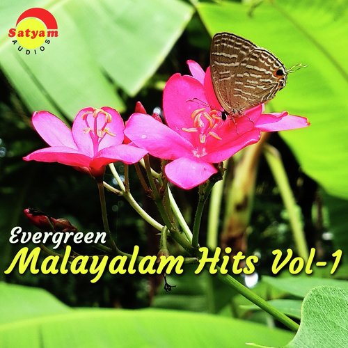 Ambaadi Payyukal - Various Artists