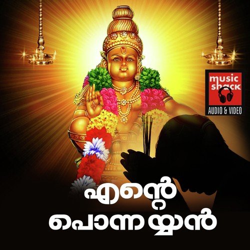 Vedantha Chinmayan - Narayan Krishna