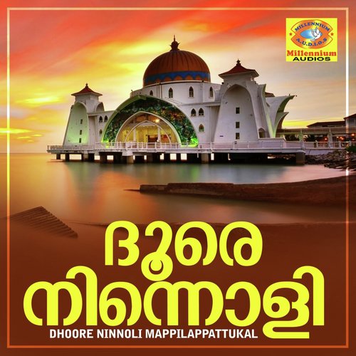 Aananda Painkiliyayi - Various Artists
