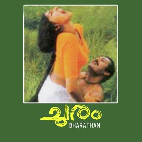 Chillu Vilakkumayi   1 - Johnson