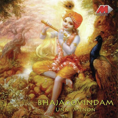 Narayaneeyam - Unni Menon