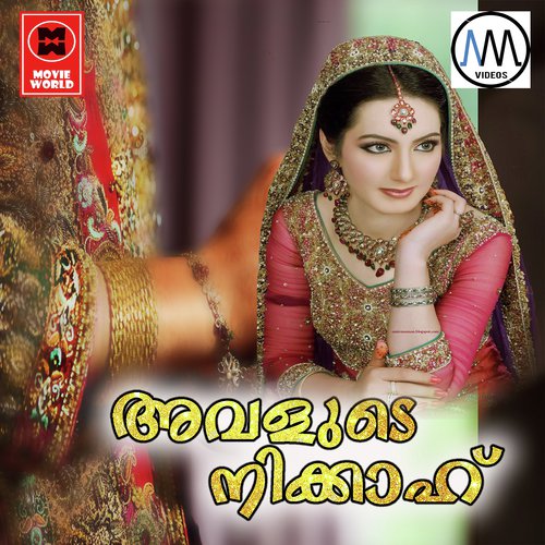 Jeevananaval Jeevitham - Ali Mangad