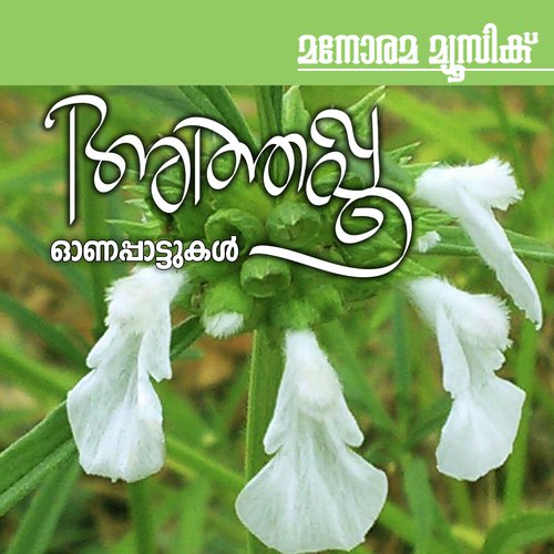 Akkare (From Thiruvonappattu) - Various Artists