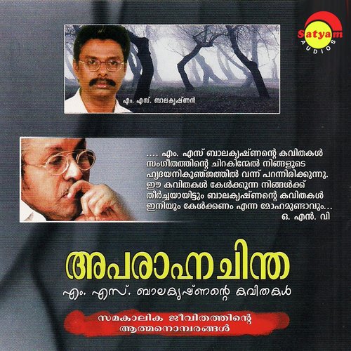 Amavasi - Chenganoor Sreekumar