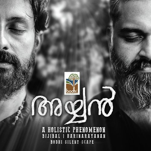 Nee Thanne aanu Njaan - Bijibal Maniyil