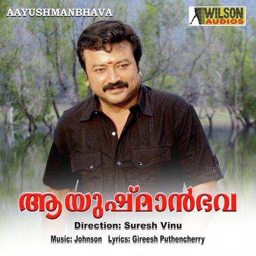 Radha Madhavamay - Johnson