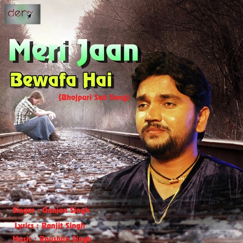 Meri Jaan Bewafa Hai - Gunjan Singh