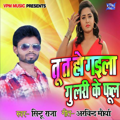 Tu Ta Hogaila Gulari Ke Phool - sintu raja
