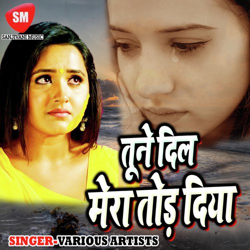 Dil Nahi Lagda Thare Bin - Various Artists