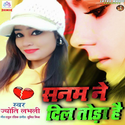 Sanam Ne Dil Toda Hai - Jyoti Labhli