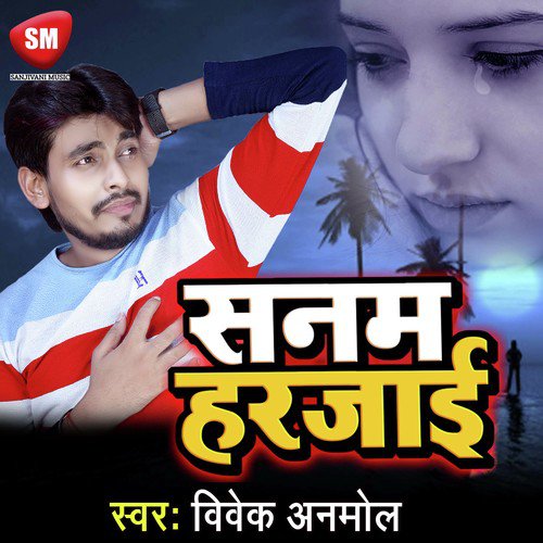 Sanam Harjai - Vivek Anmol