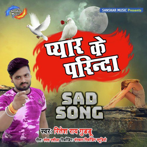 Pyar Ke Pagal - Ritesh Ray Guddu
