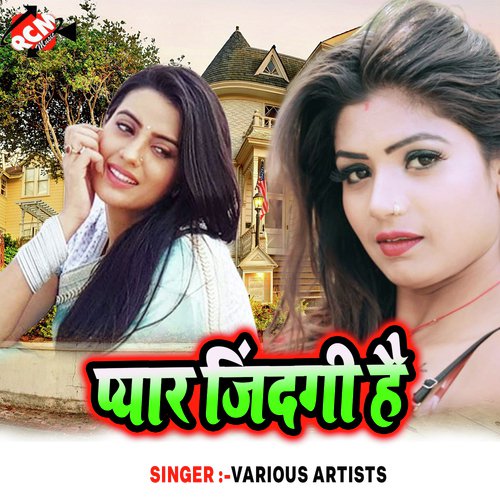Pyar Jindagi Hai - Various Artists