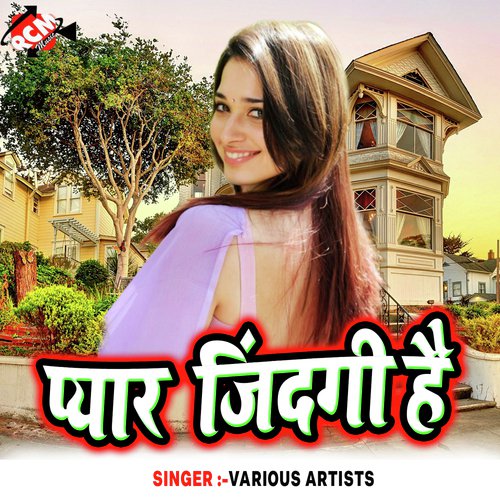 Pyar Jindgi Hai - Various Artists