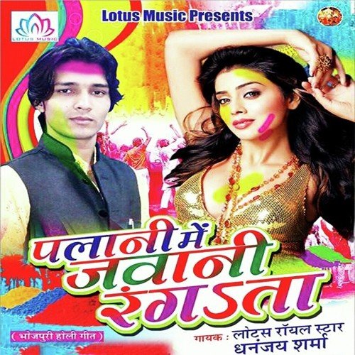 Pichakari Ke Dhai Ke - Dhananjay Sharma