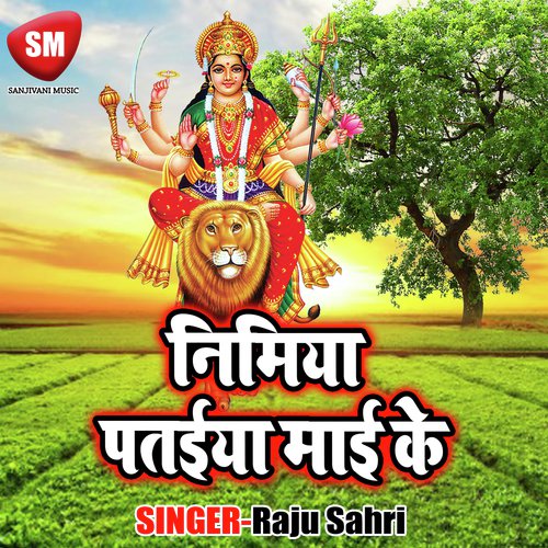 Maai Se Mila Da He Durga Mai - Raju Sahri