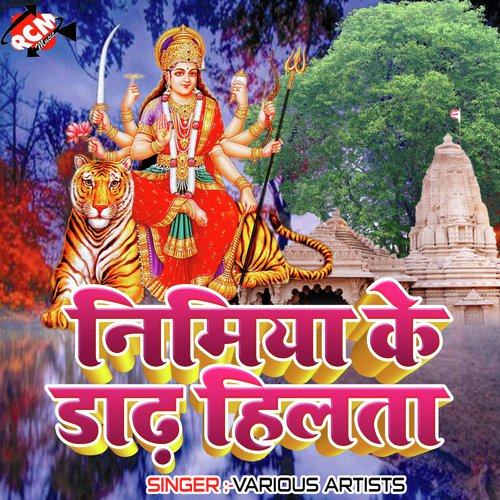 Bani Ham Paresan Sun Durga Devi - Various Artists