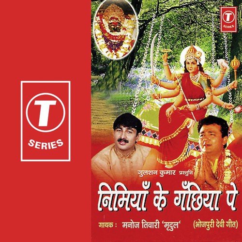Paawan Dham Vindhyachal Mandir - Manoj Tiwari
