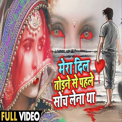 Mera dil Todane Se Pahale Soch Lena Tha - Madhavi Shrivastava