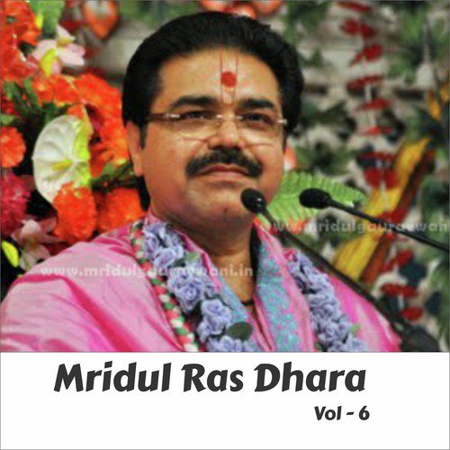 Banke Bihari Laal - Mridul Krishna Sashtri Ji