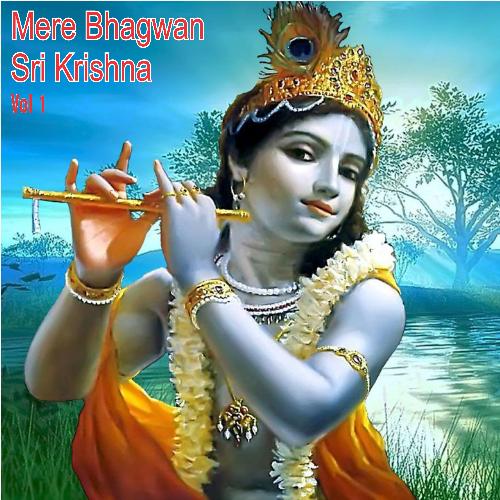 Shri Krishna Govind Hare Murari - Various Artists