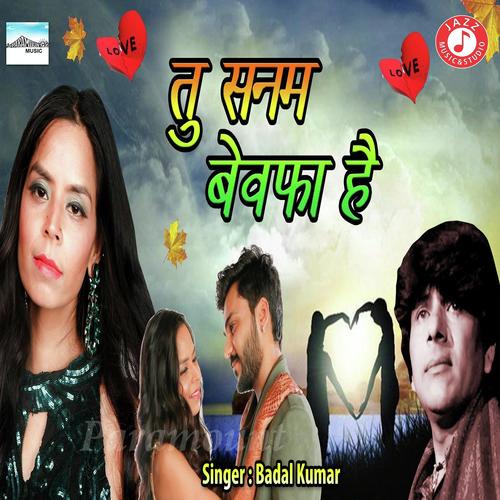 Tu Sanam Bewafa Hai - Nitin Barot