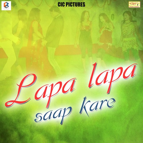 Choli Me Lage Pala - Various Artists