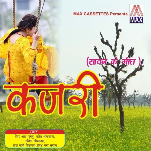 Chale Vasudev Laye Ke Lalanwa - Various Artists