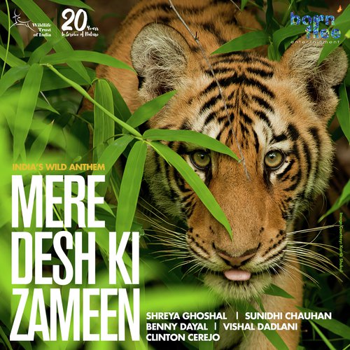 Mere Desh Ki Zameen - Shreya Ghoshal, Sunidhi Chauhan, Benny Dayal, Vishal Dadlani, Clinton Cerejo