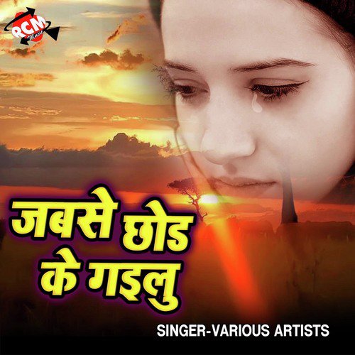 Hamar Dil Ro Rahal Ba - Various Artists