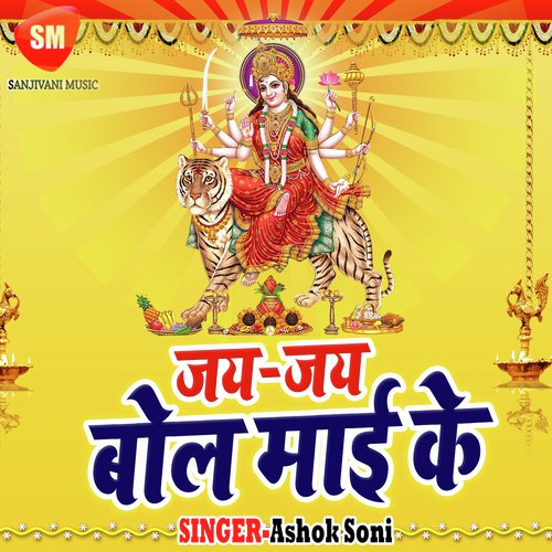 Tata Bolero Victa - Ashok Soni