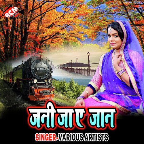 Jani Ja A Jaan Tu - Various Artists