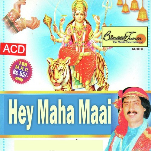 Aaye Navraatra Jhumo Re - Sanjay Snehi