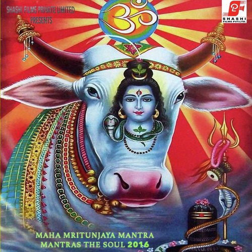 Mahan Maritinjya Mantra (Instrumental) - Dr. Neeraj Sharma