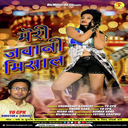 Meri Jawani Misaal ( Remix) - Nishu Jha