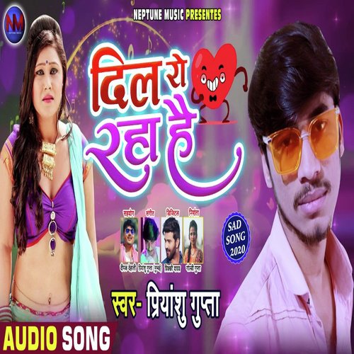 Dil Ro Raha Hai - Priyanshu Gupta