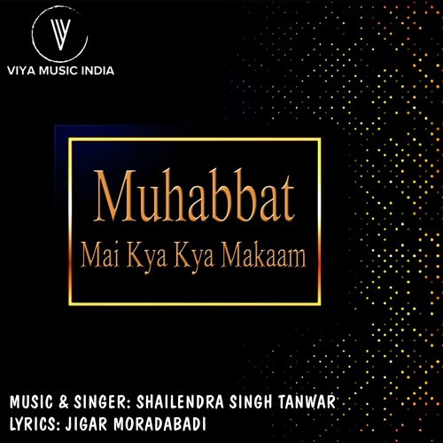Muhabbat Mai Kya Kya Makaam - Shailendra Singh Tanwar