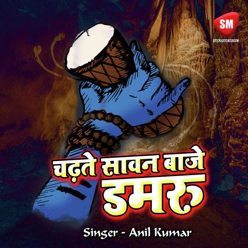Chadhte Sawan Baje Damru - Anil Kumar
