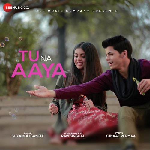 Tu Na Aaya - Aditya Agrahari, Anas Petiwala