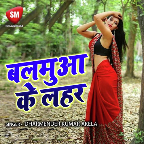 Roti Pakawe Nahi - Dharmender Kumar Akela