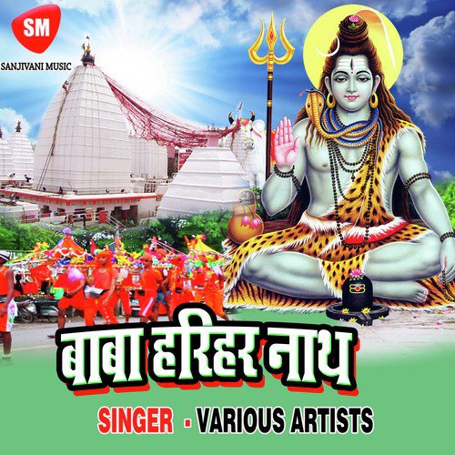 D.j Pe Aaba Gori - Various Artists