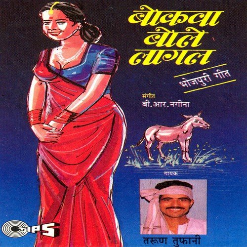 Saiyan Karke Vidaiya Dil Tod Gaile Re - Tarun Tufani