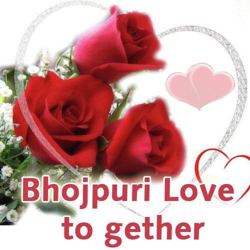 Gamchha Bichha - Various Artists
