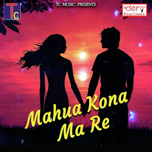 Taiha Ghar Ma Bula Ke - Various Artists