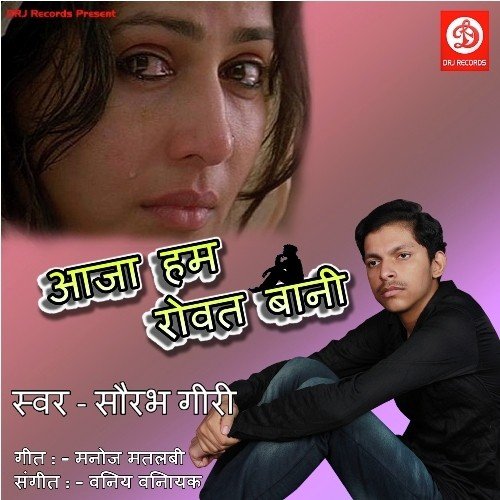 Dilwa Pagal Ha - Saurabh Giri