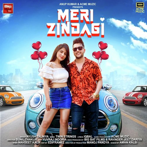 Meri Zindagi - Ayush Talniya