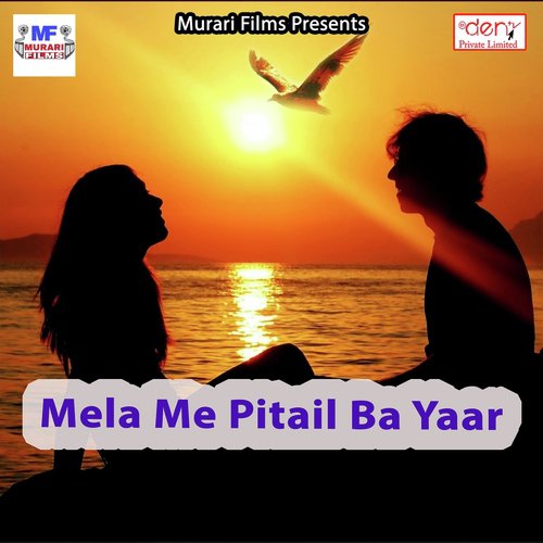 Navmi Ke Melwa Ghumadi Rajau - Various Artists