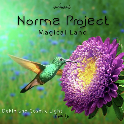Magical Land - Norma Project