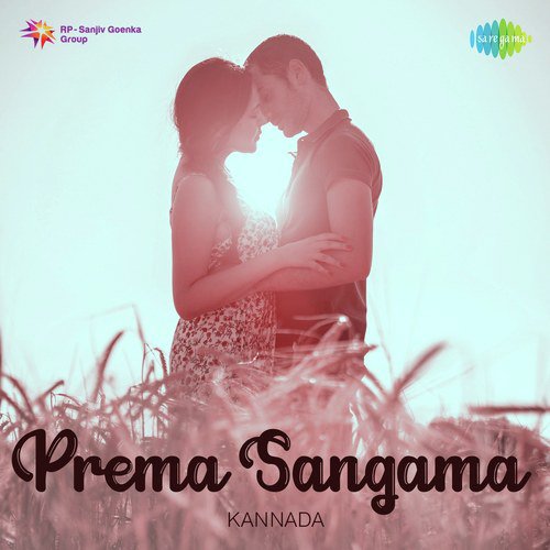 Cheluveya Nota Chenna (From Shankar Guru) - Various Artists