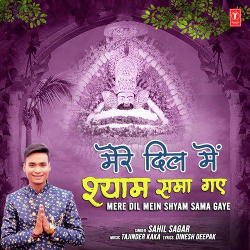 Mere Dil Mein Shyam Sama Gaye - Sahil Sagar